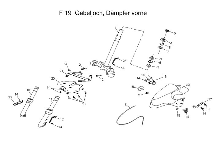F19 Gabeljoch, Dämpfer vorne