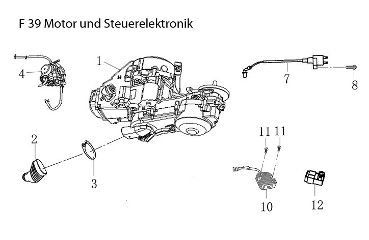 F39 Motor und Steuerelektronik